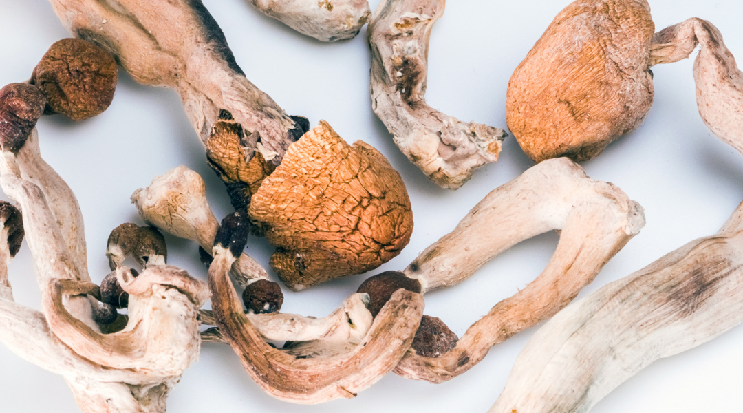 CONSUMING DRY SHROOMS
