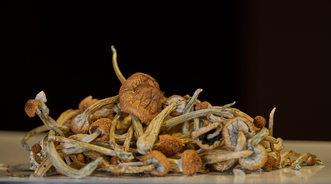 POTENTIAL SIDE EFFECTS OF CONSUMING SHROOMS